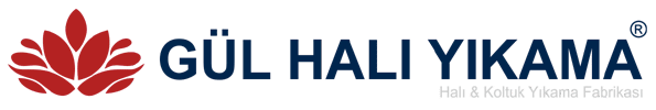 Gül halı Koltuk Yıkama Ankara